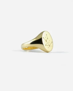 ANELLO CHEVALIER OVALE IN ORO