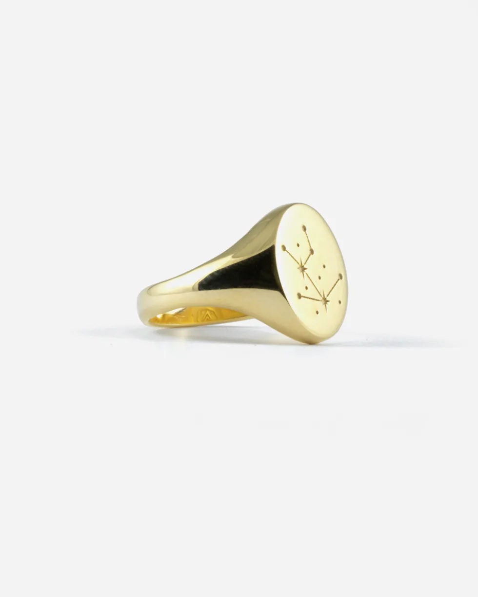ANELLO CHEVALIER OVALE IN ORO