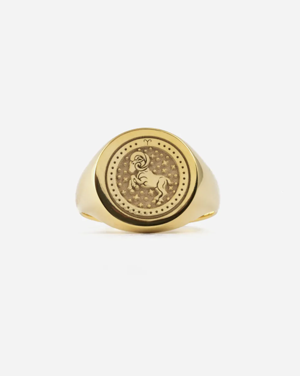 ANELLO CHEVALIER TONDO IN ORO